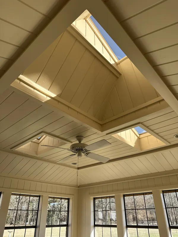 Ceiling and skylights